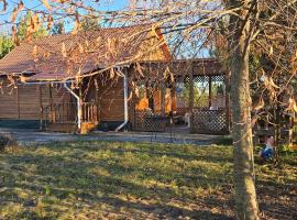 На схилах річки Рось, hotel in Bila Tserkva