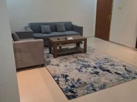 شقه مفروشه vip