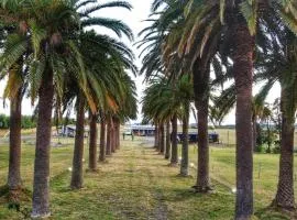 Entre Palmeras y Lavandas Casas de diseño en Riachuelo Colonia