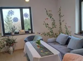 Noclegi - Ostre Lipowa Żywiec Beskidy