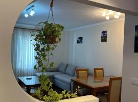 Casa Do Arco - Machico