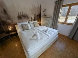 Altbau-Charme & Bergblick I Stylisches 75qm Juwel mit 2 Balkonen und Parkplatz