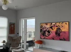 Room in modern downtown apt with private bathroom