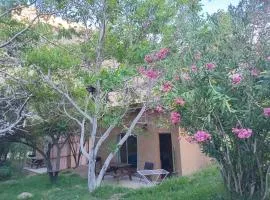 Cabañas Los Sauzales del Elqui