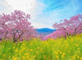 Kaiyutei，位于河津町的酒店