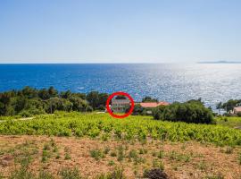 Family friendly seaside apartments Dingac - Borak, Peljesac - 18060, hotel i Potomje