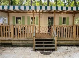 Mobil-home 3 chambres avec terrasse à Pezuls - API-1-52-517