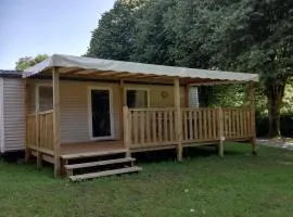 Mobil home - Terrasse à Bieuzy - API-1-52-1304