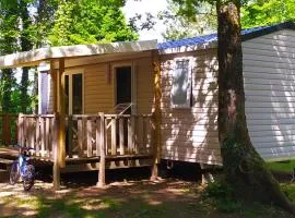 Mobil-home confortable avec terrasse - 6 personnes - API-1-52-1308