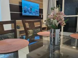 apê 103 praia das tartarugas