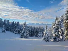 Mieszkanie nad Popradem 2