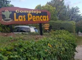 Cabañas Las Pencas Mina Clavero Córdoba