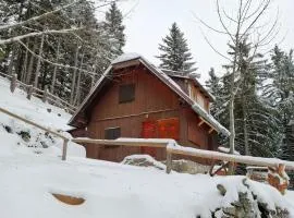 Cabin on Kobilica