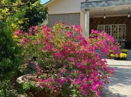 Hoàng hôn Farm stay- Homestay 2