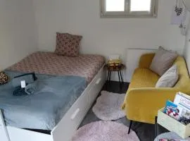 Studio promenade bord de Seine Rouen