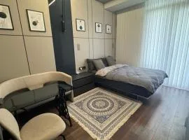 Premium Smart Studio with River View