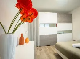 La Corte di Giovanna