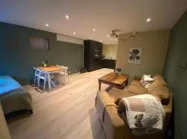 Koselig, ny 1-roms hybelleilighet med moderne kjøkken