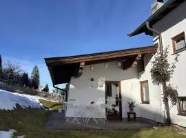 Bergnest Fieberbrunn