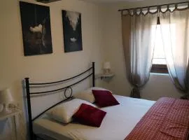 Casa Vacanze Bettega 2A - Castagno