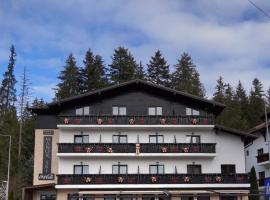 Manor Ski Hotel, hotel u gradu Predeal