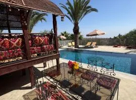 Apartment in large villa with swimming pool