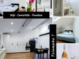 Triomphe 1-Wifi-CentreVille-Familiale