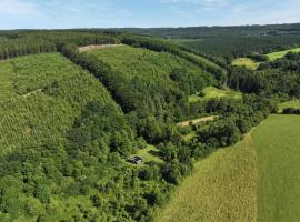 Chalet Woodyoustay, hotel in Theux