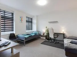 FLEX Aparts - möblierte 2-Raum Wohnung in Zwickau