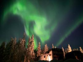 Levi Lapland Luxury Igloos C, hotel en Levi