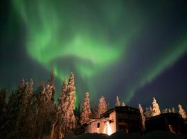 Levi Lapland Luxury Igloos B, Hotel in Levi