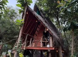 Sigiri Hunter's Eco Tree lodge