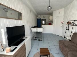 Le petit studio Rue de l'Imprimerie, hotel em Gap