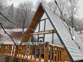 Chalet Carolina, hotel a Padeş