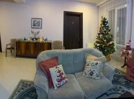 My House in Bakuriani