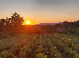 Isola Natura Farm Retreat Sardinia