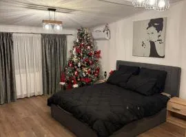 Studio modern,ideal pentru 2 cupluri sau o familie cu 2 copii