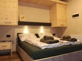 Ciesa Le Crepedele - Miniappartamento Zirum