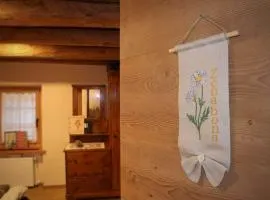 Ciesa Le Crepedele-Miniappartamento Zenabona