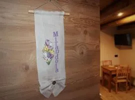 Ciesa Le Crepedele- Miniappartamento Mirandola