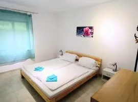 Olcsica Apartment