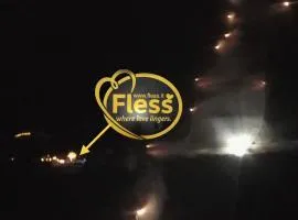 Fless