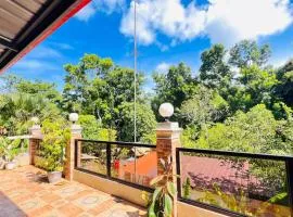 Transient villa with cozy garden, billiard & bar