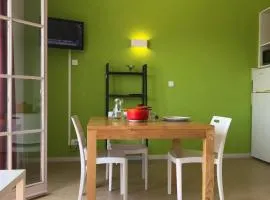 Maison au Carla-Bayle avec terrasse, idéal 2 personnes - API-1-52-1373