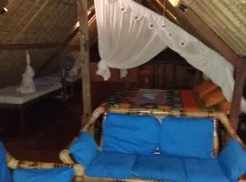 Topi inn