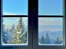 Apartman v Beskydech, khách sạn ở Staré Hamry