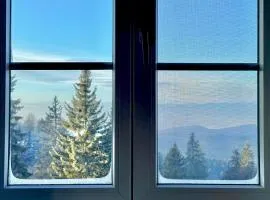 Apartman v Beskydech