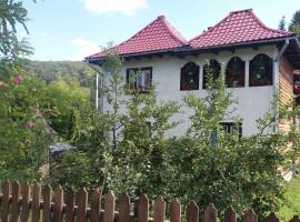 Pensiunea Letitia, guest house in Suceviţa
