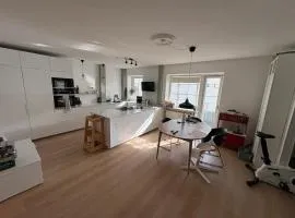 120 m2 newly renovated apartment