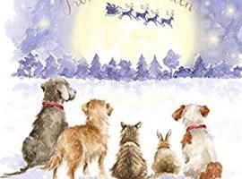 Stadtmitte-Iserlohn, hotel in Iserlohn